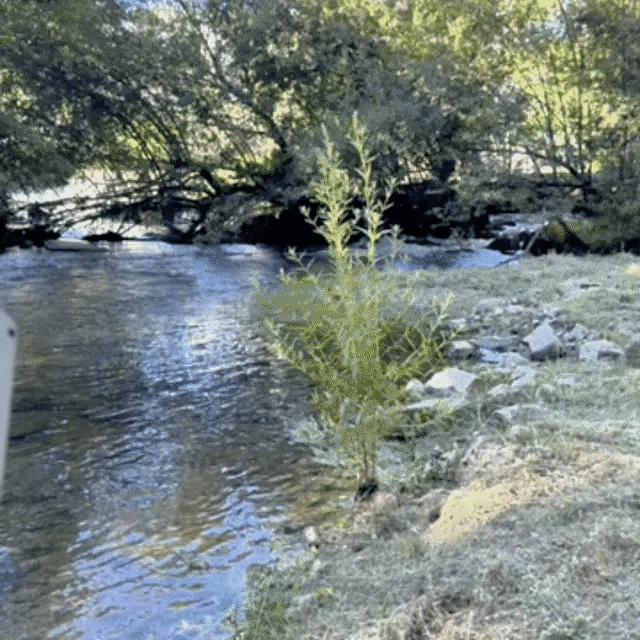 Waterproof Underwater Fishing Camera with Live-View LED Screen