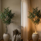 Skymra™ – Soft Elegance in Every Room (2-Pack)