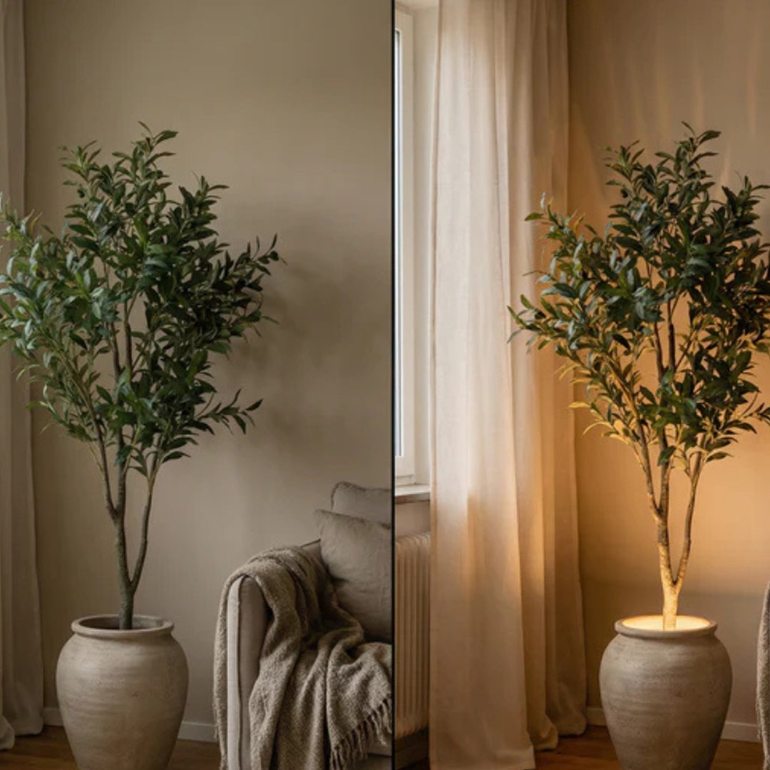 Skymra™ – Soft Elegance in Every Room (2-Pack)